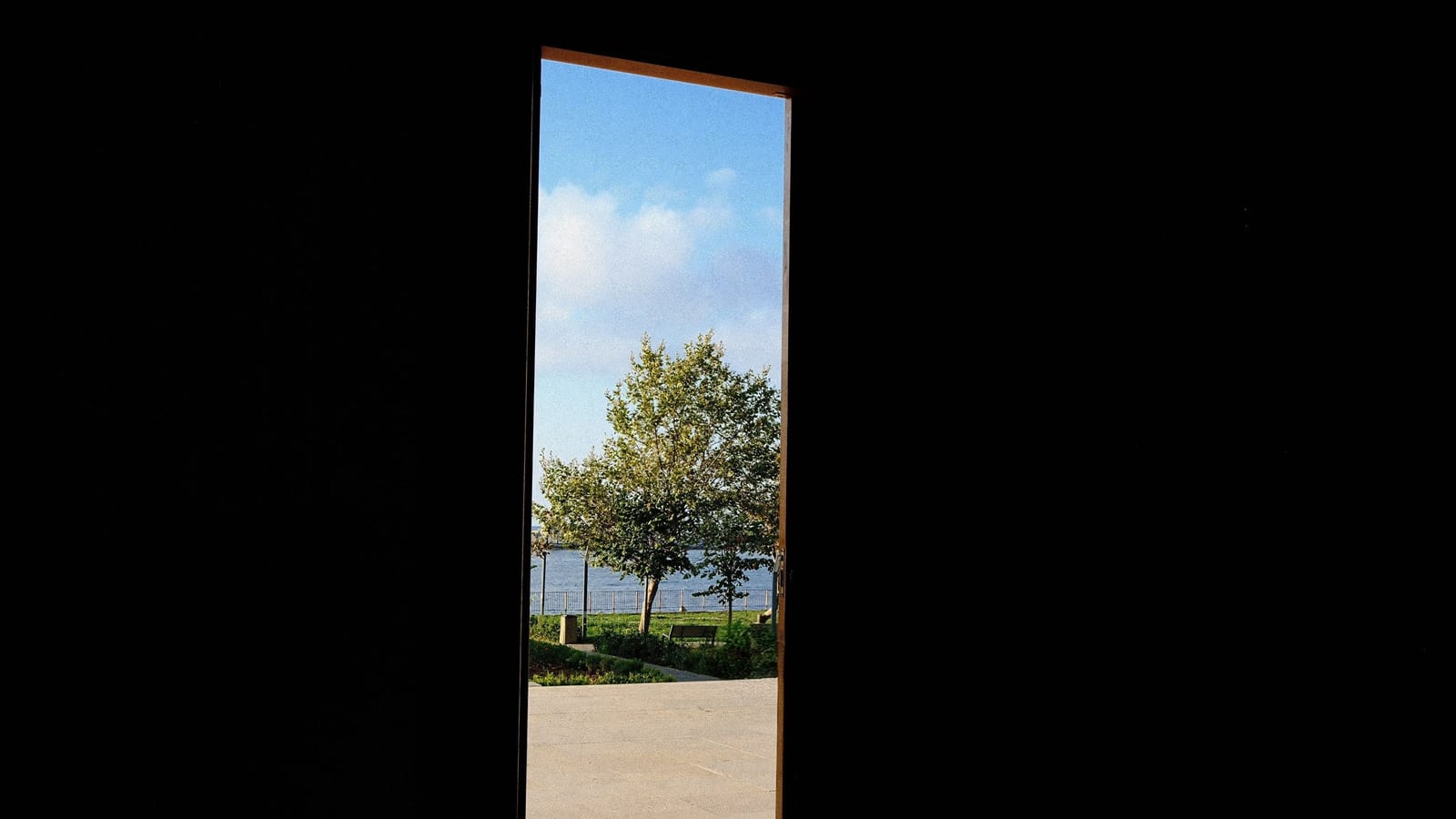 A serene view of a tree and sky seen through an open doorway, showcasing tranquility.